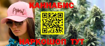 Альфа ПВП Будённовск