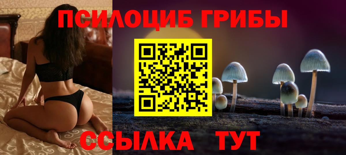 Псков  Псилоцибиновые грибы Magic Shrooms  Вход с VPN 